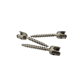 Bone screw diameter
